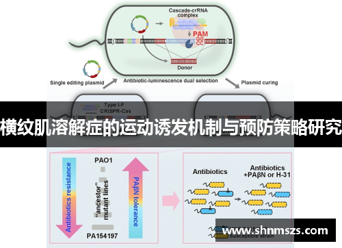 横纹肌溶解症的运动诱发机制与预防策略研究